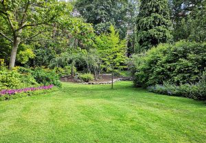 Optimiser l'expérience du jardin à Lescouet-Gouarec