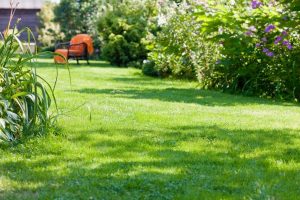 travaux jardin et paysage Lescouet-Gouarec